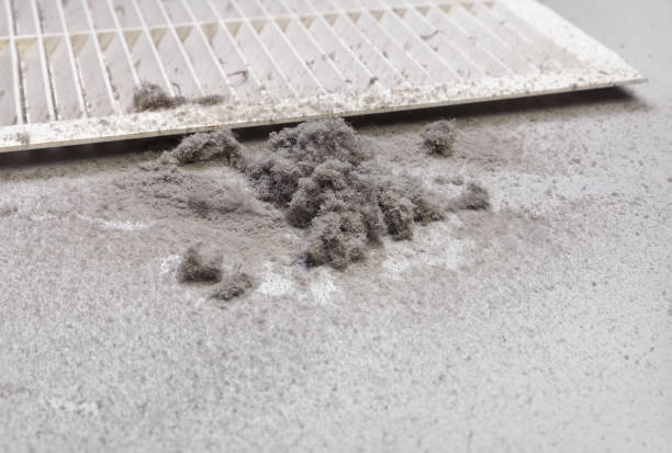 Best Ventilation Cleaning Services  in Shorewood Forest, IN
